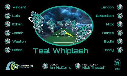 B3654 Teal Whiplash 3x5 Banner 