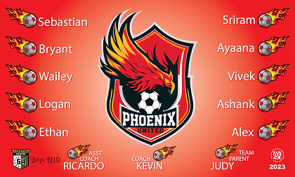 B3663 Phoenix 3x5 Banner 