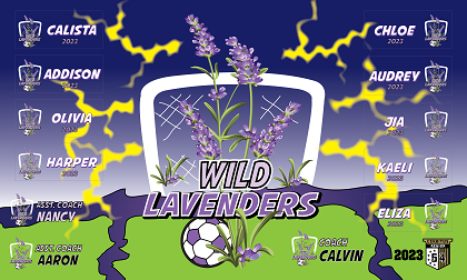 B3665 Wild Lavenders 3x5 Banner 