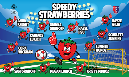 B3668 Speedy Strawberries  3x5 Banner 
