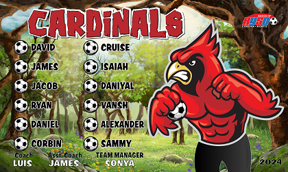 B3705 Cardinals 3x5 Banner 