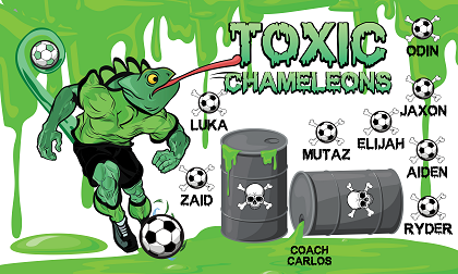 B3708 Toxic Chameleons 3x5 Banner 