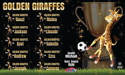 B3709 Golden Giraffes 3x5 Banner 