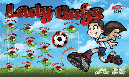 B3715 Lady Bugs 3x5 Banner 