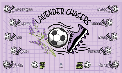 B3724 LAVENDER CHASERS 3x5 Banner 