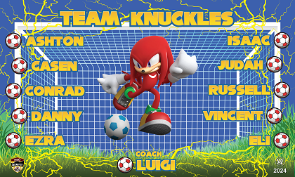 B3725 Team Knuckles 3x5 Banner 