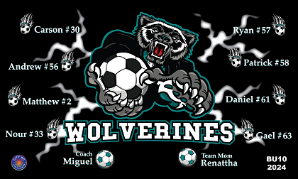 B3727 Wolverines 3x5 Banner 