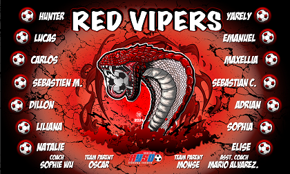 B3728 RED Vipers  3x5 Banner 