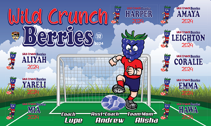 B3729 WILD CRUNCH BERRIES   3x5 Banner 