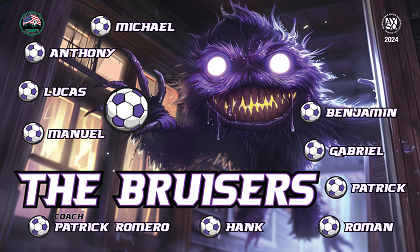 B3761 The Bruisers  3x5 Banner 