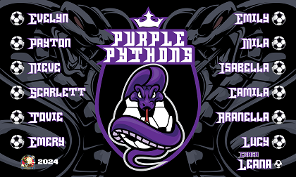 B3771  Purple Pythons  3x5 Banner 
