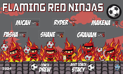 B3775 Flaming Hot Ninjas 3x5 Banner 