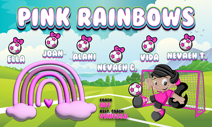 B3781 Pink Rainbows3x5 Banner 