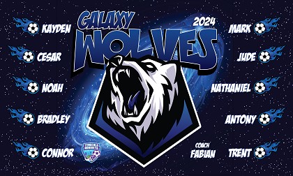 B3784 Galaxy Wolves 3x5 Banner 