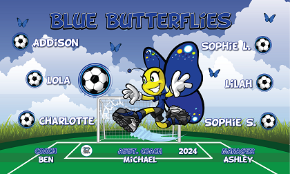 B3795 Blue Butterflies  3x5 Banner 