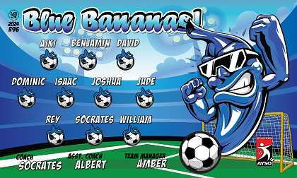 B3829 Blue Bananas  3x5 Banner 