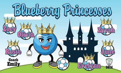B3830 Blueberry Princesses 3x5 Banner 