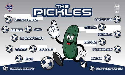 B3833  The Pickles 3x5 Banner 