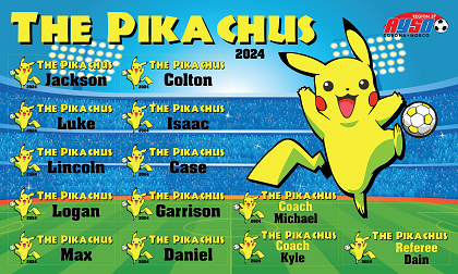 B3845 The Pikachus 3x5 Banner 