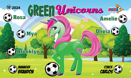B3855 Green Unicorns 3x5 Banner 