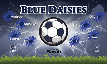 B3858 Blue Daisies  3x5 Banner 