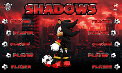 B3867 Shadows 3x5 Banner 