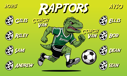 B3912 Raptors 