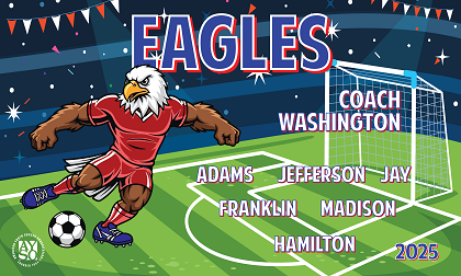 B3927 Eagles 3x5 Banner 