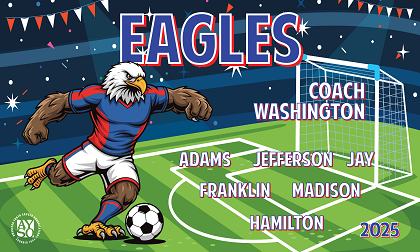 B3929 Eagles 3x5 Banner 