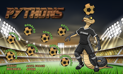 B3933 Pythons 3x5 Banner 