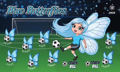 B3934 Blue Butterflies  3x5 Banner 