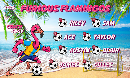 B3938 Furious Flamingos 3x5 Banner 