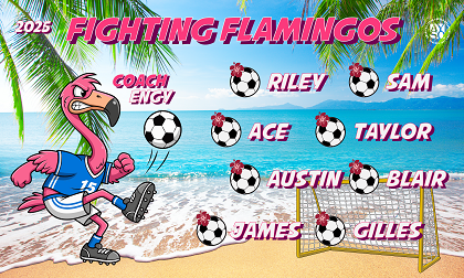 B3939 Fighting Flamingos 3x5 Banner 