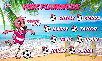B3940 Pink Flamingos 3x5 Banner 