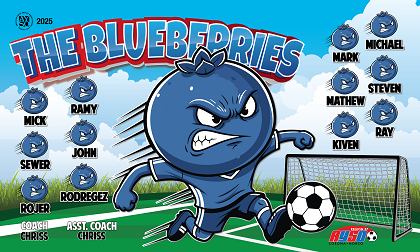 B3946 The Blueberries  3x5 Banner 