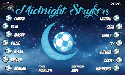 B3993 Midnight Strykers 3x5 Banner 