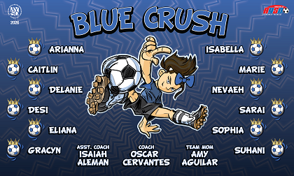 B4006 Blue Crush 3x5 Banner 