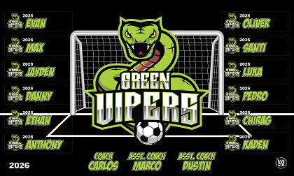 B4024 Green Vipers 3x5 Banner 