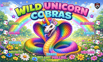 B4025 Wild Unicorn Cobras 3x5 Banner 