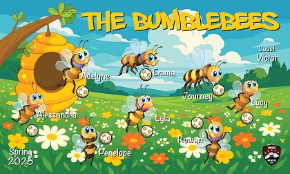 B4026 The Bumblebees 3x5 Banner 