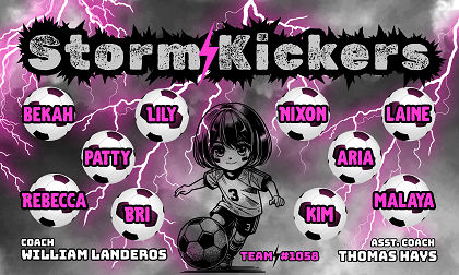 B4035 Storm Kickers 3x5 Banner 
