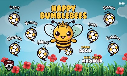 B4040 Happy Bumblebees 3x5 Banner 