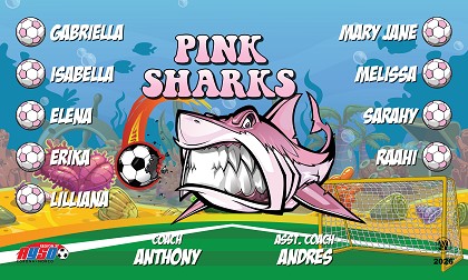 B4042 Pink Sharks 3x5 Banner 