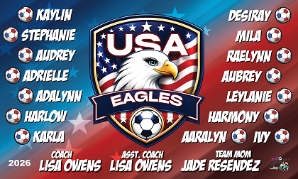 B4044 USA Eagles 3x5 Banner 