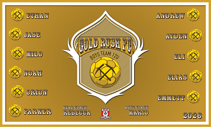 B4049 Gold Rush 3x5 Banner 