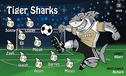 B4050 Tiger Sharks 3x5 Banner 
