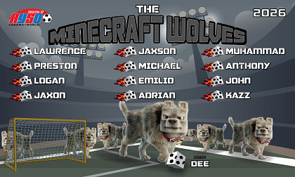 B4051 Minecraft Wolves 3x5 Banner 