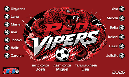B4052 Red Vipers 3x5 Banner 