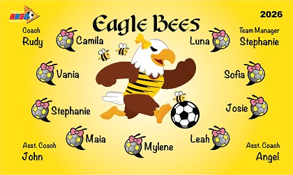 B4059 Eagle Bees 3x5 Banner 