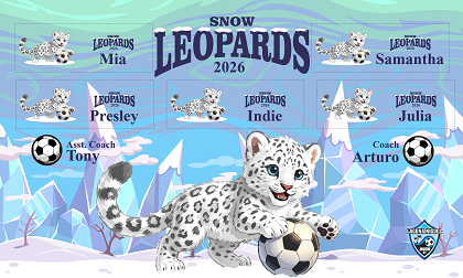 B4063 Snow Leopard Alt 3x5 Banner 